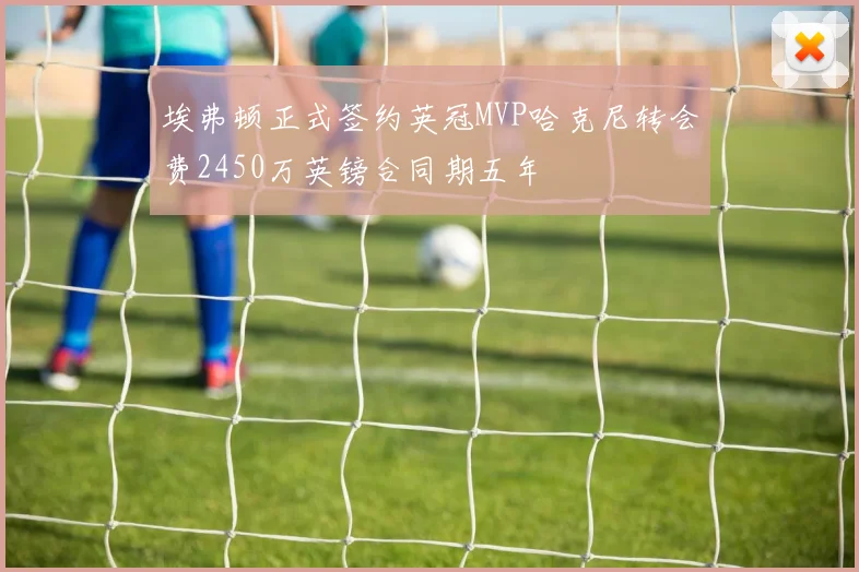 埃弗顿正式签约英冠MVP哈克尼转会费2450万英镑合同期五年
